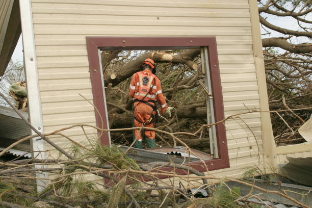 Best Tree Disease Treatment  in Olcott, NY